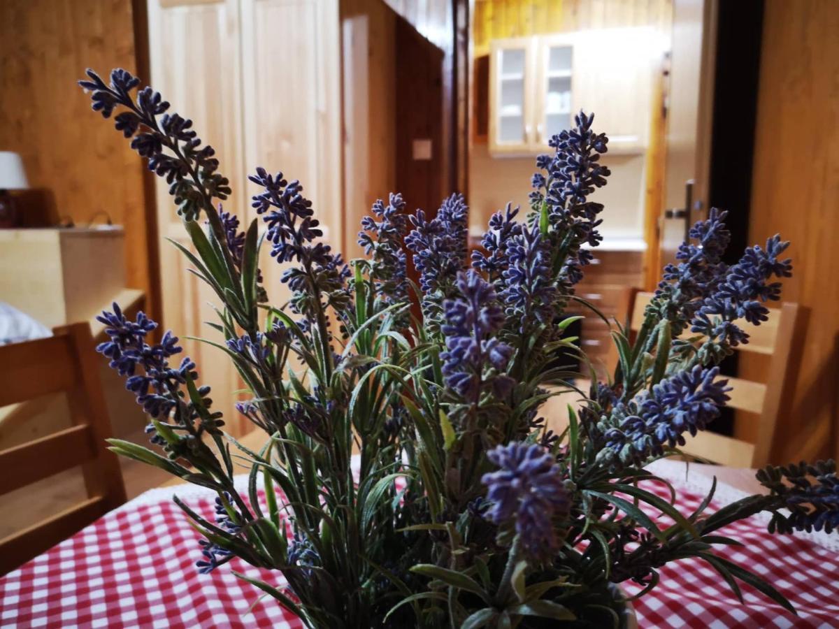 Apartmany Nizke Tatry - Krpacovo Dolna Lehota Eksteriør billede